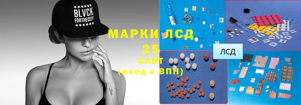 ПСИЛОЦИБИНОВЫЕ ГРИБЫ Аркадак