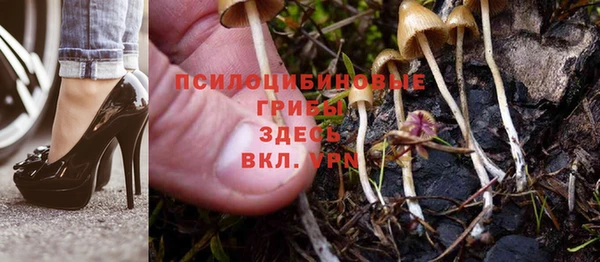 ПСИЛОЦИБИНОВЫЕ ГРИБЫ Аркадак