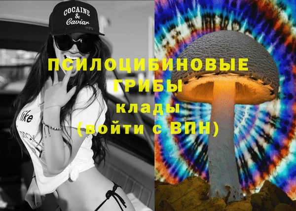 ПСИЛОЦИБИНОВЫЕ ГРИБЫ Аркадак