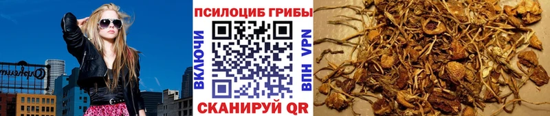 Галлюциногенные грибы Cubensis  Починок 